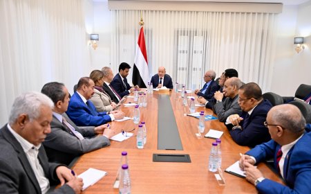 العليمي : اليوم لدينا عناصر القوة لتعديل موازين القوى على الأرض