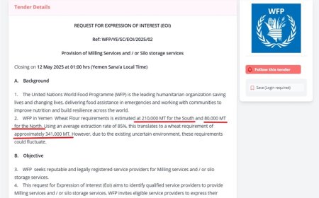 اتهامات لبرنامج الغذاء العالمي بتسهيل سيطرة شركات حوثية على مناقصات القمح في اليمن