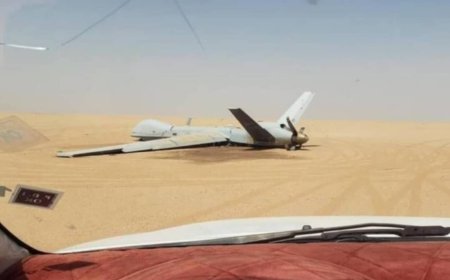 سعر الواحدة 30 مليون دولار.. مسؤول أمريكي يكشف عن خسارة واشنطن 7 طائرات مسيرة باليمن خلال شهرين   نيسان/أبريل 29, 2025