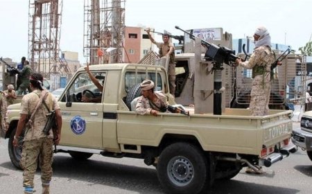 عناصر تابعة للانتقالي يقتحمون حديقة في عدن