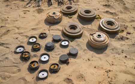أبين: "مسام" يتلف أكثر من 4 آلاف ذخيرة في عملية نوعية بوادي دوفس
