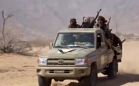 قوات العمالقة تعلن التصدي لهجمات والقضاء على عناصر حوثية جنوب مارب