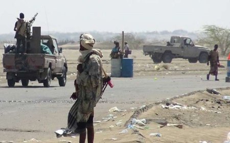 الكشف عن طلبات الحكومة اليمنية لشن هجوم على الحو ثيين