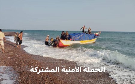 لحج.. الحملة الأمنية تعلن ضبط قارب محمل بأدوية مهربة