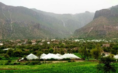 مصدر محلي يتحدث عن وفاة شاب بلدغة ثعبان في الضالع