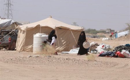 تنفيذية النازحين تنفي وجود تهجير قسري في مخيم العرق بمأرب